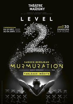 Affiche de Murmuration Level 2
