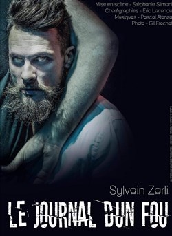 Affiche de Le journal d'un fou