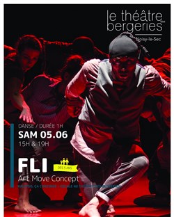 Affiche de Fli