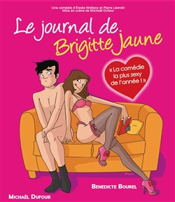 Affiche de Le journal de Brigitte Jaune
