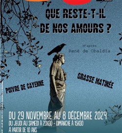 Affiche de Que reste-t-il de nos amours ?