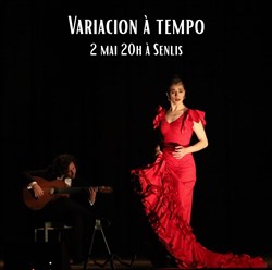 Affiche de Variación à tempo