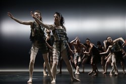 Affiche de Sasha Waltz & Guests dans Kreatur