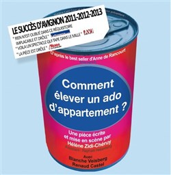 Affiche de Comment élever un ado d'appartement ?