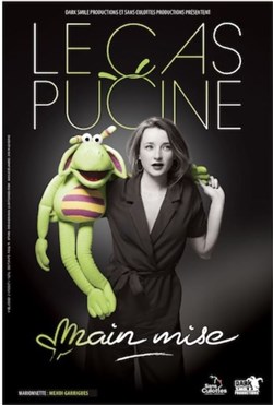 Affiche de Le Cas Pucine dans Main mise