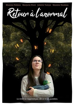 Affiche de Retour à l'anormal