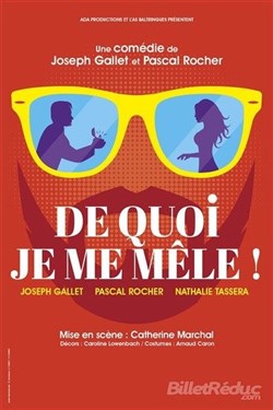 Affiche de De quoi je me mêle !