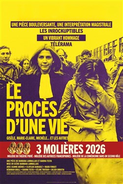 Affiche de Le Procès d'une Vie
