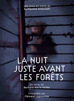 Affiche de La Nuit juste avant les forêts