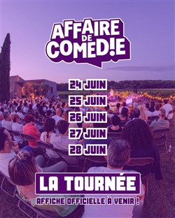 Affiche de Affaire de Comédie : La tournée