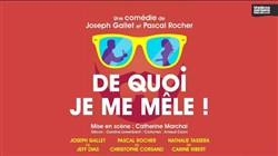 Affiche de De quoi je me mêle !