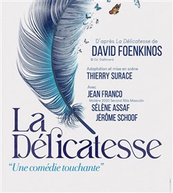 Affiche de La délicatesse