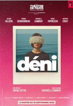 Affiche de Déni