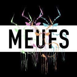 Affiche de Meufs