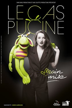 Affiche de Le Cas Pucine dans Main mise