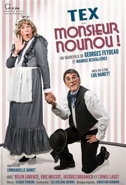 Affiche de Monsieur nounou | avec Tex