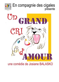 Affiche de Un grand cri d'amour