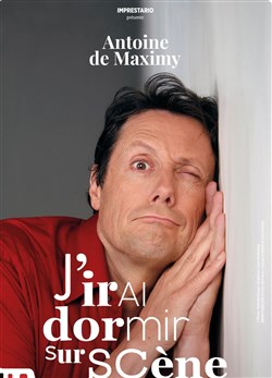 Affiche de Antoine de Maximy dans J'irai dormi sur scène