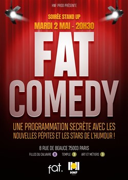 Affiche de Fat Comedy