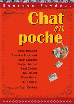 Affiche de Chat en poche