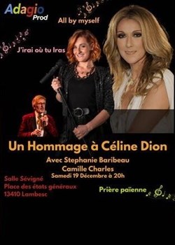 Affiche de Hommage à Céline Dion