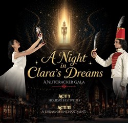 Affiche de A Night in Clara's Dreams