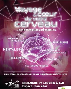 Affiche de Les maîtres de la magie : Voyage au coeur de votre cerveau