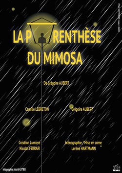 Affiche de La parenthèse du mimosa