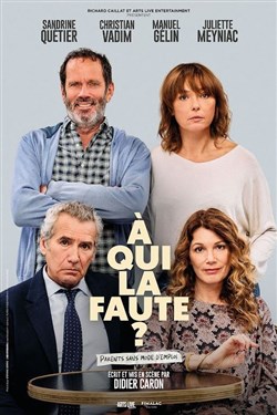 Affiche de À qui la faute ? | avec Sandrine Quétier
