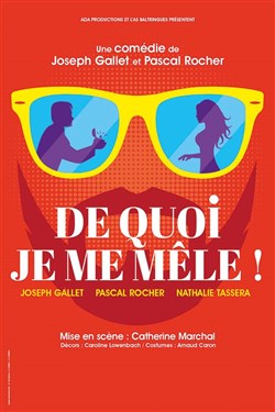 Affiche de De quoi je me mêle !