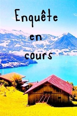 Affiche de Enquête en cours
