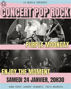 Affiche de Concert Pop Rock au Meeple