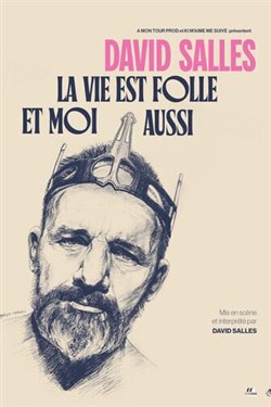 Affiche de David Salles dans La vie est folle et moi aussi