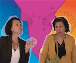 Affiche de Une mémoire d'éléphant (dans un magasin de porcelaine)