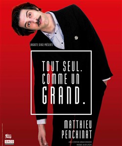 Affiche de Matthieu Penchinat dans Tout seul comme un grand