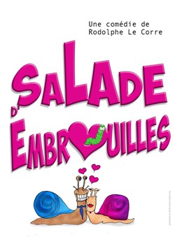 Affiche de Salade d'embrouilles