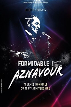 Affiche de Formidable ! Aznavour