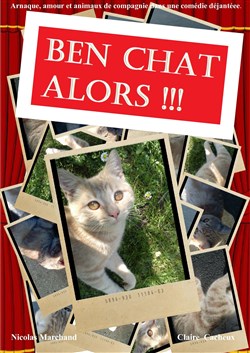 Affiche de Ben chat alors !!!