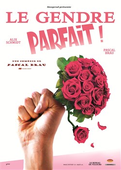 Affiche de Le gendre parfait !