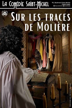 Affiche de Sur les traces de Molière