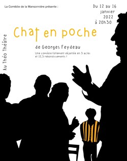 Affiche de Chat en poche