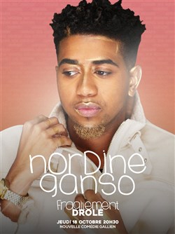 Affiche de Nordine Ganso dans Fragilement drôle