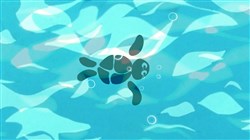 Affiche de Tamao