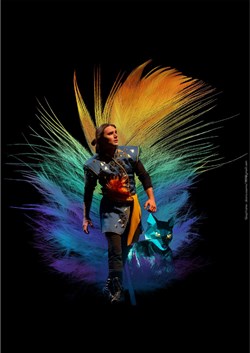 Affiche de L'Oiseau de feu