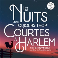 Affiche de Les nuits sont toujours trop courtes à Harlem