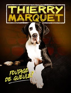 Affiche de Thierry Marquet dans Foutage de gueule ?
