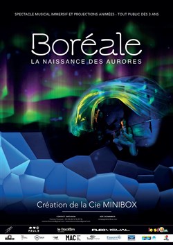 Affiche de Boréale, la naissance des aurores