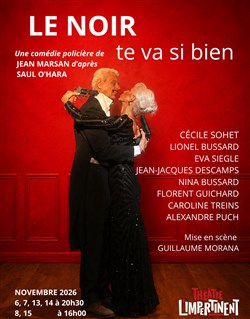 Affiche de Le noir te va si bien