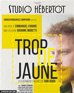 Affiche de Trop de jaune, les dernières heures de Van Gogh