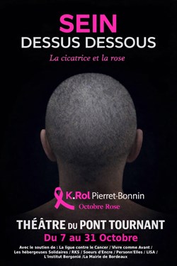 Affiche de Carole Pierret-Bonnin dans Sein dessus dessous